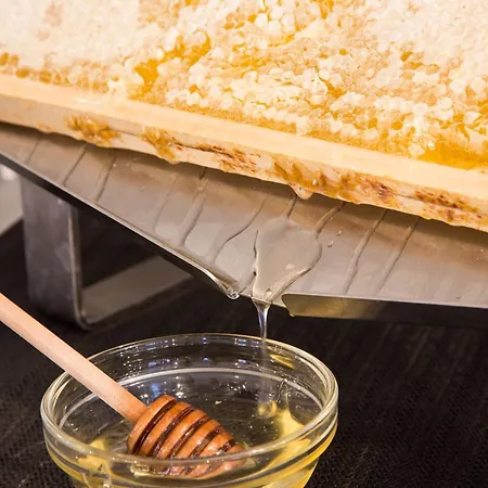 Western Chc Hotel Florencie