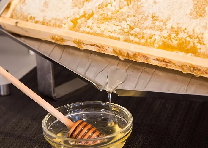 Western Chc Hotel Florença